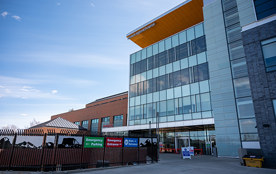 千赢国际(中国游)官方网站